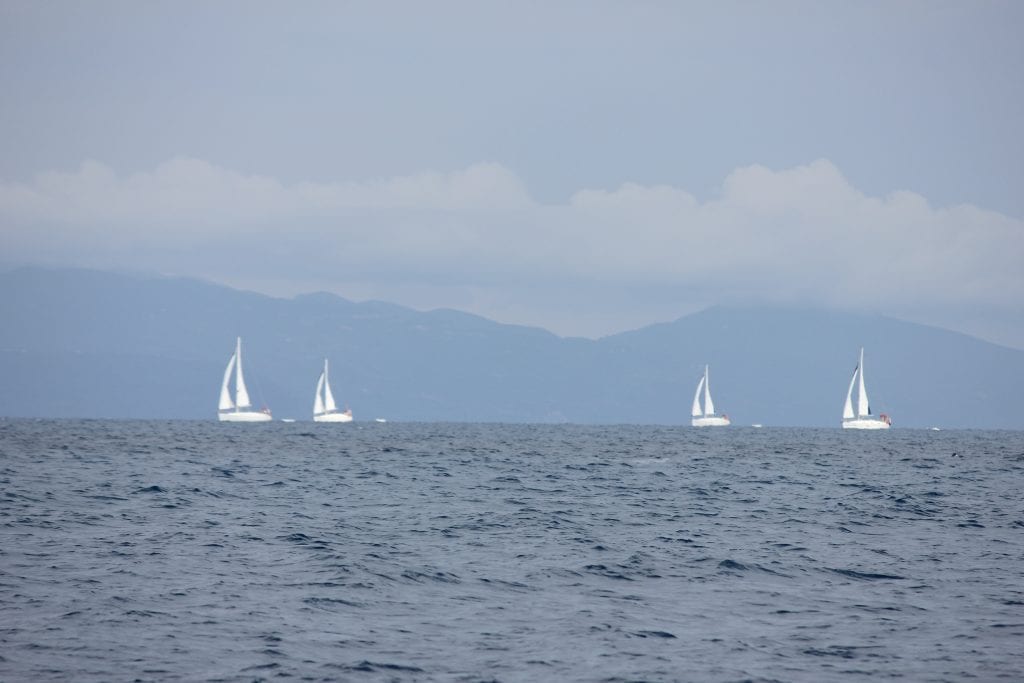 Sunset Sailing